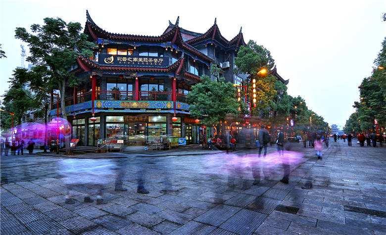 任振鹤参加武威代表团审议