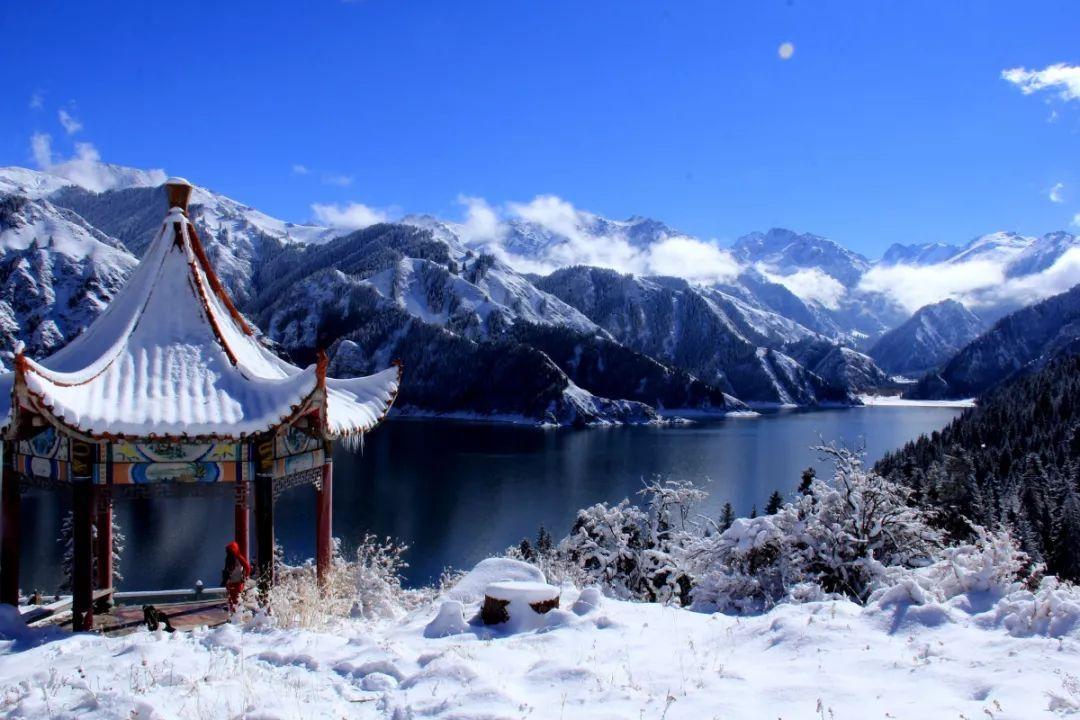 入盆是什么意思